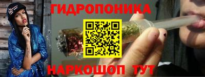 ECSTASY Пенза