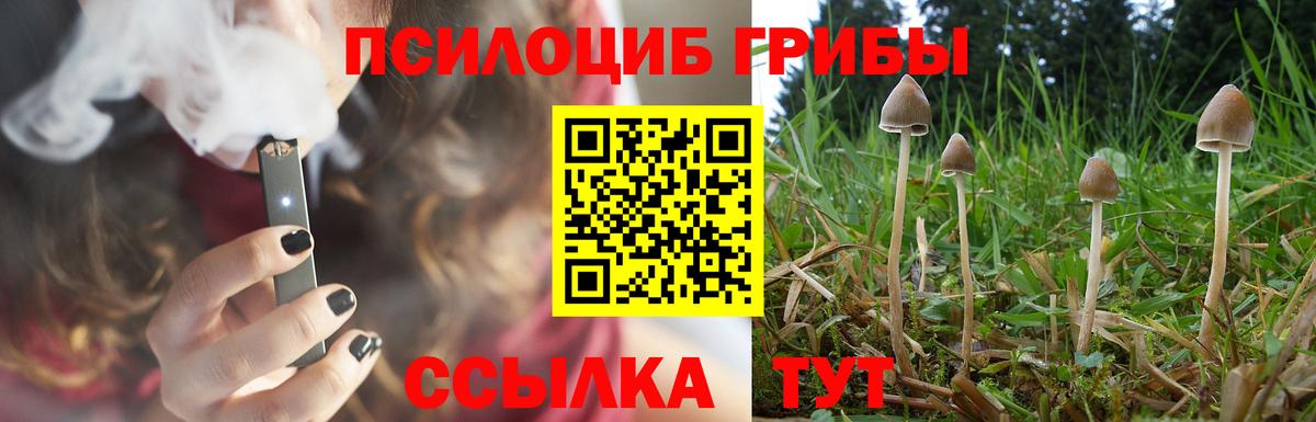 Галлюциногенные грибы ЛСД Учалы